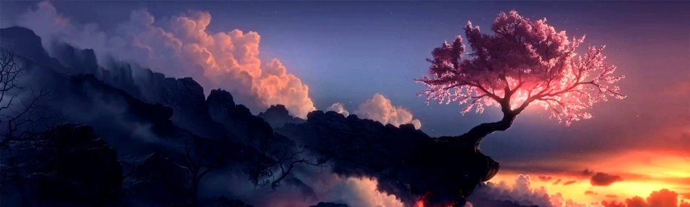 User banner image